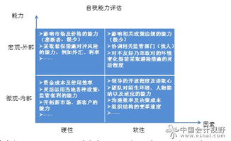 谈谈海外投资投后管理模式