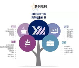 西北工业大学就业信息网 招聘资讯